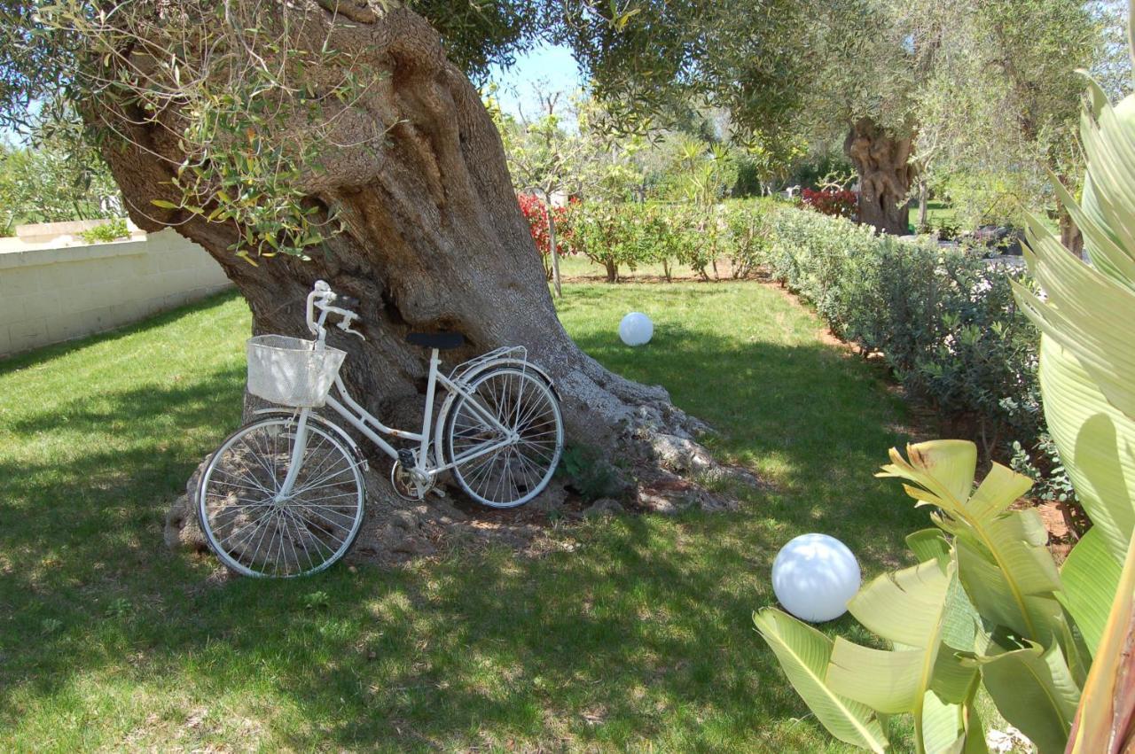 Tenuta Verdolivo オストゥーニ エクステリア 写真