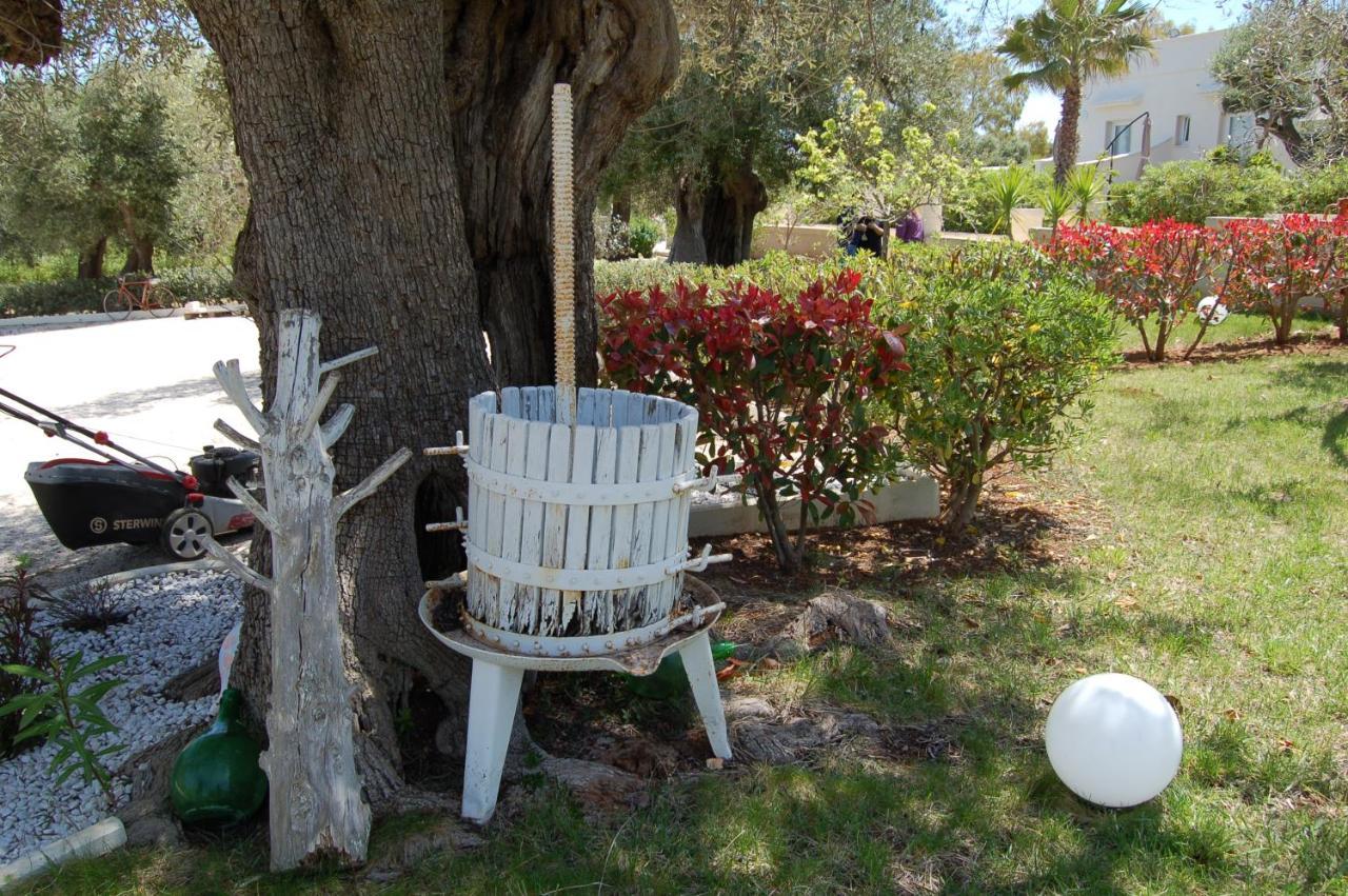 Tenuta Verdolivo オストゥーニ エクステリア 写真